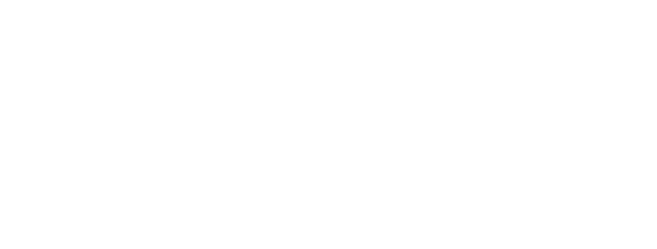 PST Holding